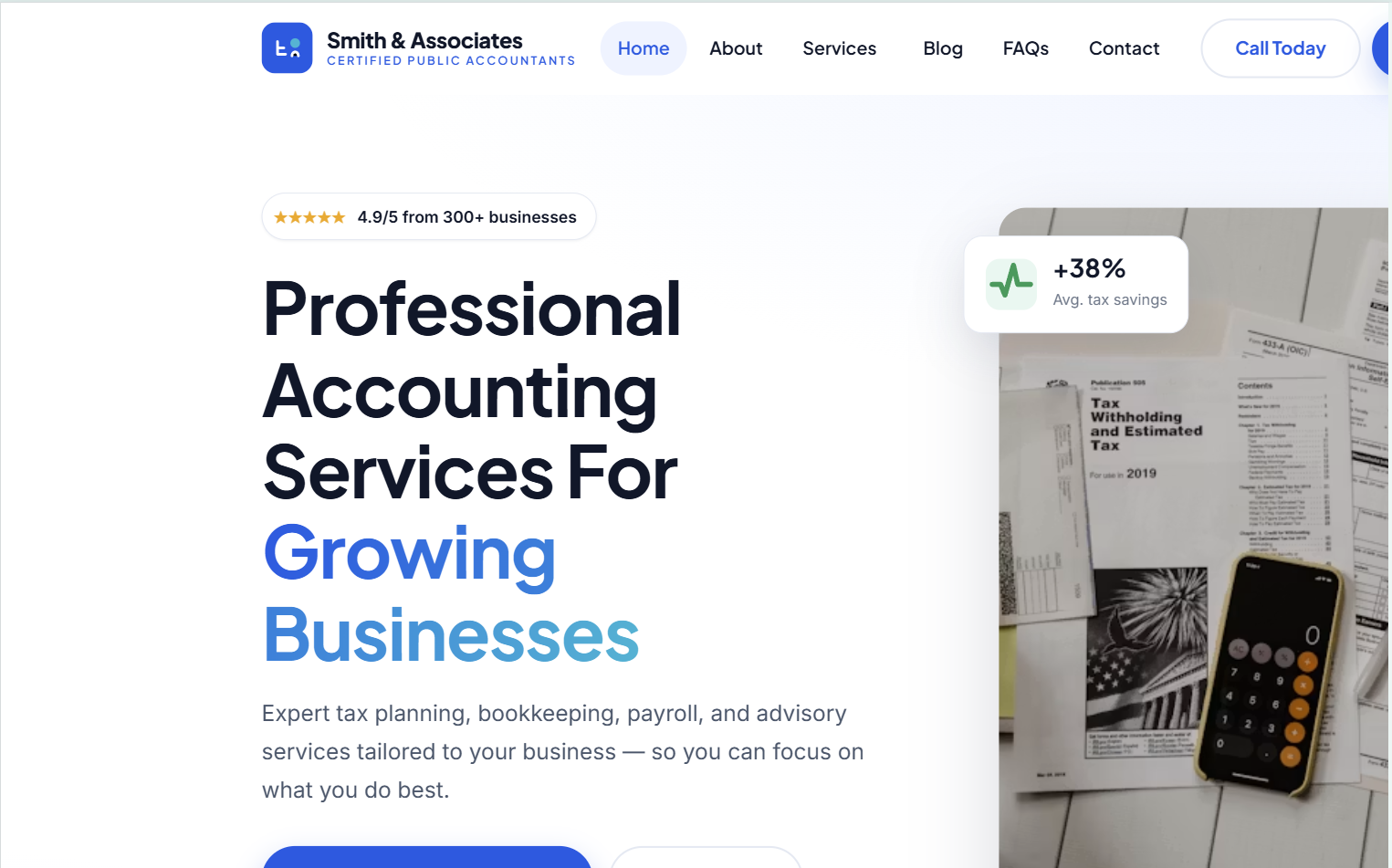 CPA Executive template preview
